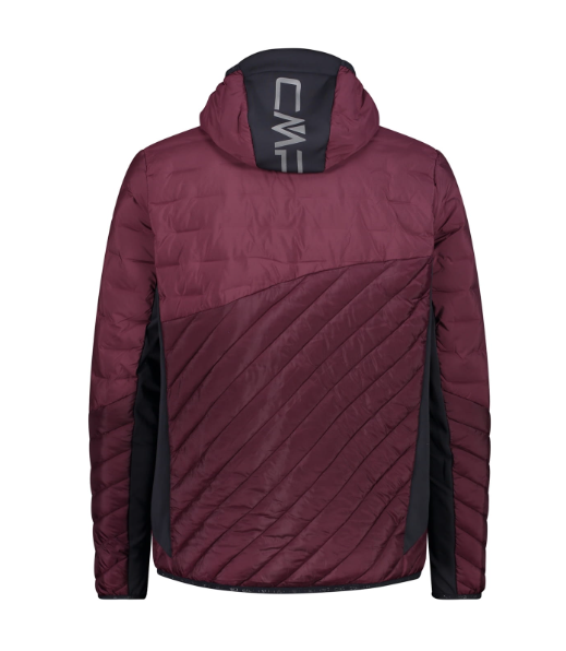 Campera Unlimitech - Hombre