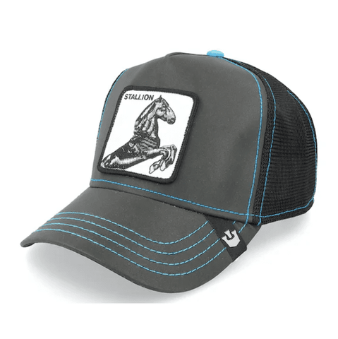 Gorra Stallion Nights