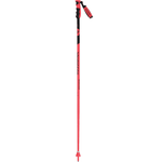 Baston de Ski Hero GS